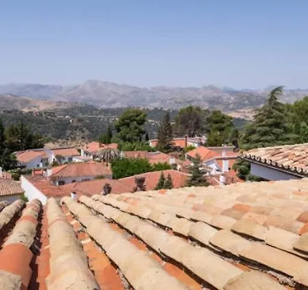 Atico Exclusivo En Apartament *